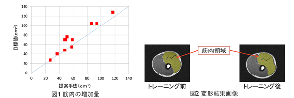 http://md.sist.chukyo-u.ac.jp/~mekada/mri.png